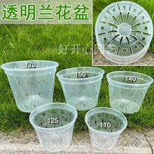 蝴蝶蘭透明圓形花盆帶底孔透氣塑料硬杯新款洋蘭花盆營養杯