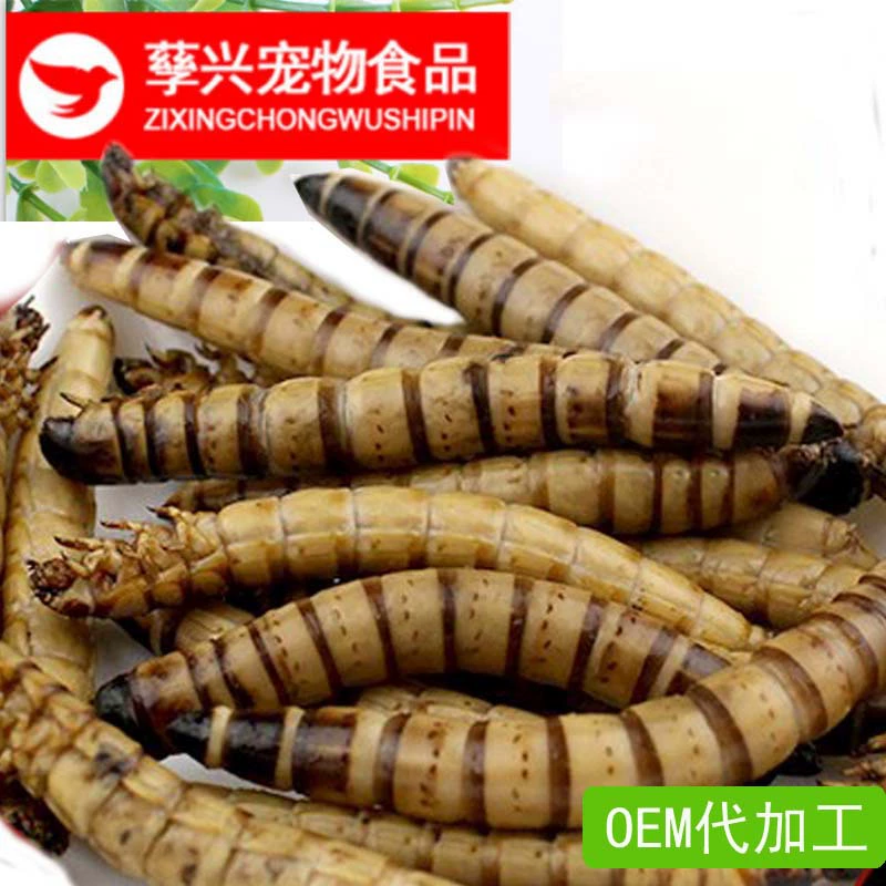 В наличии: сушеные мучные черви, корм для арован и хомяков, высокобелковые зерновые продукты кормового класса.