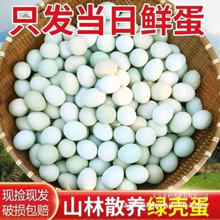 ���l�r50ö���u���G�����r�F��F�l�������u���Ա��u�����u��
