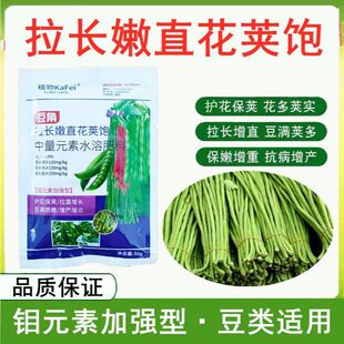 �ļ�������ș�㶹���v�����Lֱ���I�BҺ���L�ض�����ֱ�L�~�����