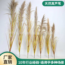 ��Ȼ�JȔ�ɻ��Ҿ��b�Y����˹�JȔ�͏d���������b����JȔ�ɻ�