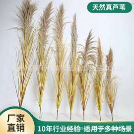 仿真绿植;仿真盆栽;仿真花