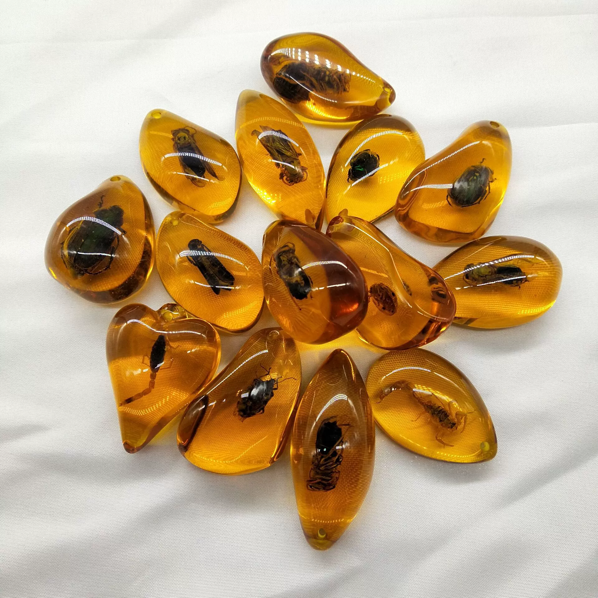 Amber sample, wholesale