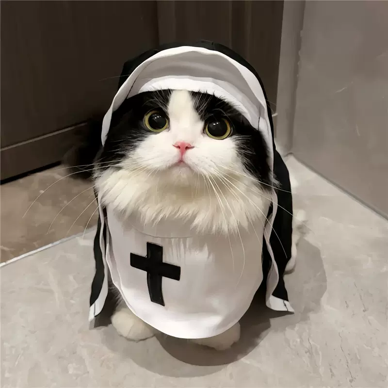猫咪修女衣服猫狗 变装搞怪COS拍照道具 中小型宠物服饰 ins网红