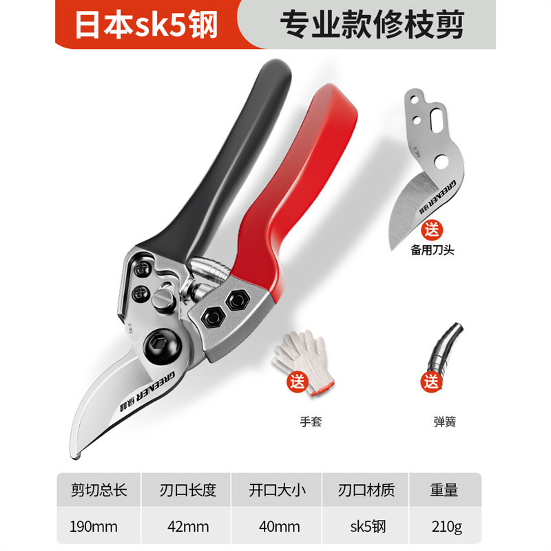 Tijeras florales Artesanía alemana Ramas de frutas Tijeras de ramas Cuchillos Tijeras de poda Bosque verde Jardinería Poda importada Envío gratis