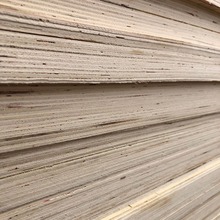 ���a�N�۰��b�����ϰ� ���ϰ��b�� ��ȸ���Ҫ�����a