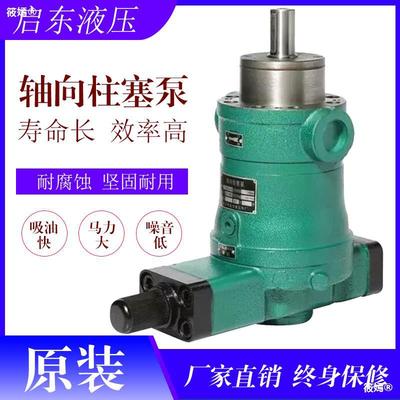 Qidong high pressure Oil pump 10 25 40 63 80 160YCY 250YCY14-1B Axial Piston Hydraulic pressure