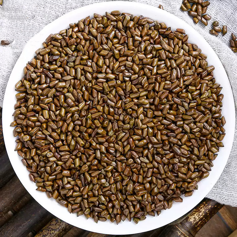 Cassia Seed Jue Ming Zi 500g Dried Cassia Seeds for Tea and Herbal Pillow Filling specifications