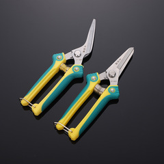 供應果枝剪 採摘果樹枝盆景工具剪刀 園林摘果剪修枝剪批發