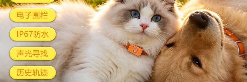 Real-time dog tracking smart GPS tracker, new anti-electronic fence locator, waterproof pet cat collar, others