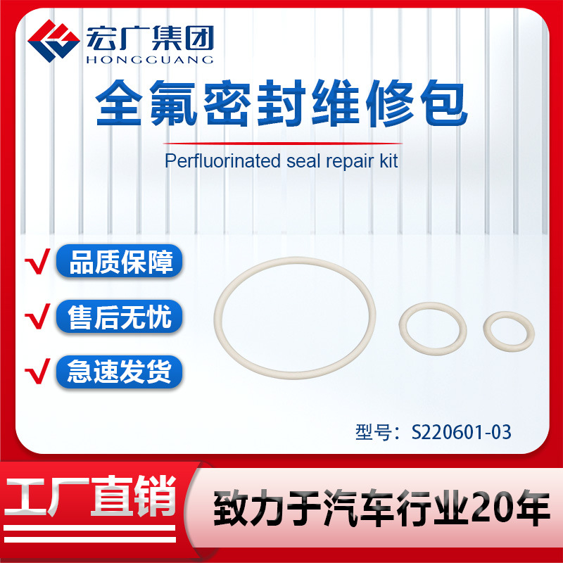 全氟密封备件包 S220601-03 密封圈