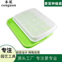 ѿ������P��ѿ�Nֲ�Pˮ��lѿ��o����������߲������O��