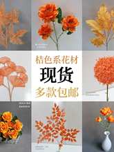 ��ɫ���滨��c��ˇ��ɫ������Y���b���·�����Ź��T������