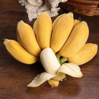 香蕉泡沫箱广西小米蕉当季新鲜水果蕉批发皇帝芭蕉一件批发代发