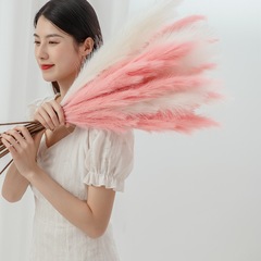 仿真花漫妮潘帕斯草蘆葦草INS家居裝飾跨境婚慶批發假花MW61212