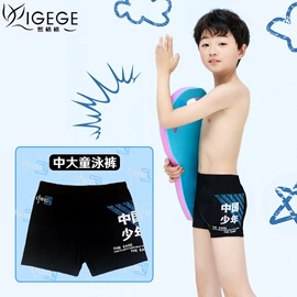 连体泳衣;比基尼;泳裤