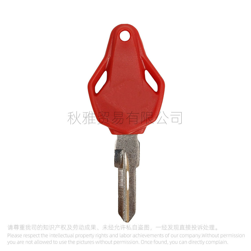 For motorcycle Augusta MV800 Agusta F3 F4 sports car RVS 1090 key embryo/handle