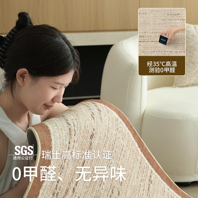 地毯客厅2025新款侘寂风卧室轻奢高级感沙发免洗易打理防水地毯|undefined