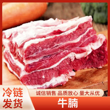 原切牛肉谷饲牛腩清炖红烧商用食材冻牛肉500g牛腹