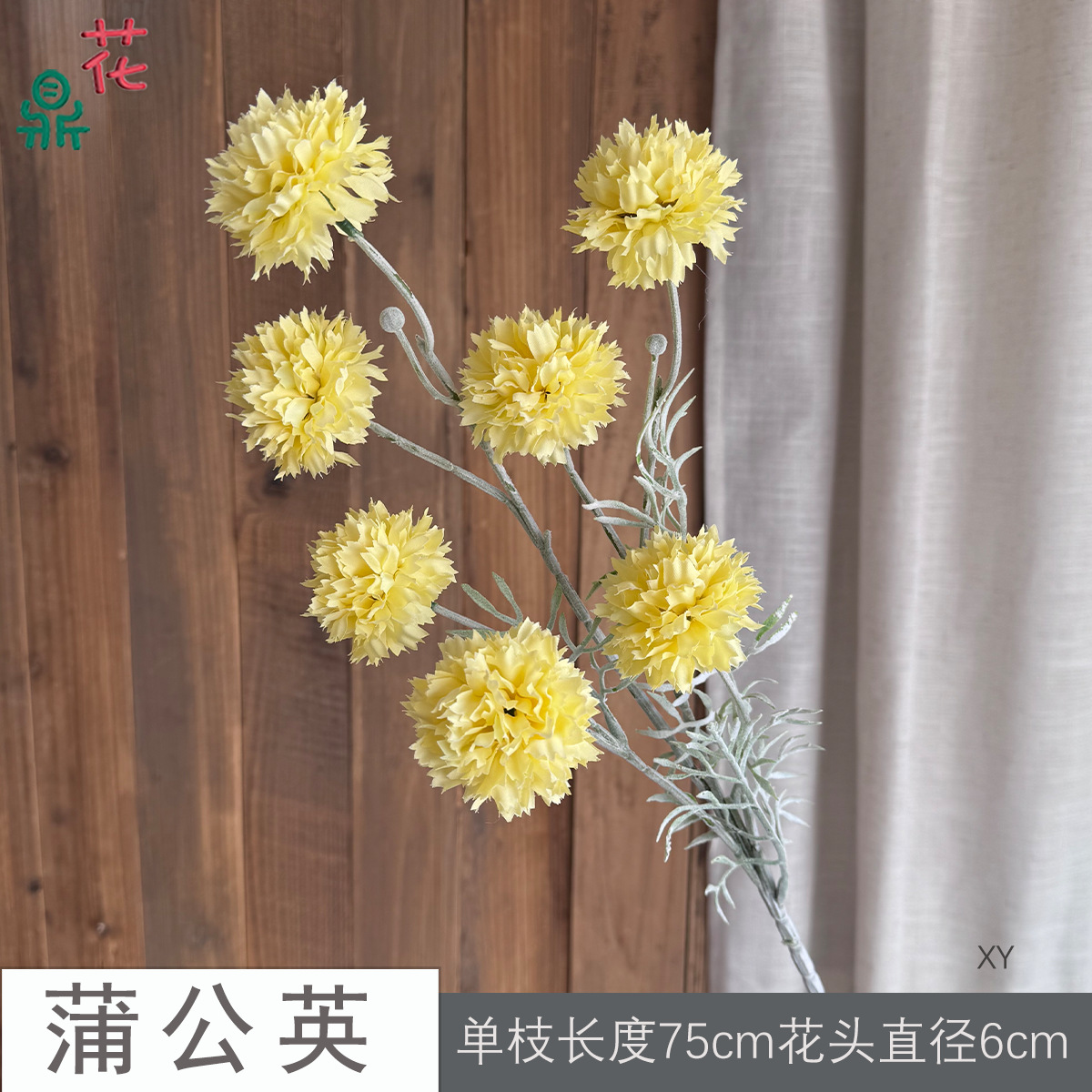 Bồ Công Anh XY Vàng