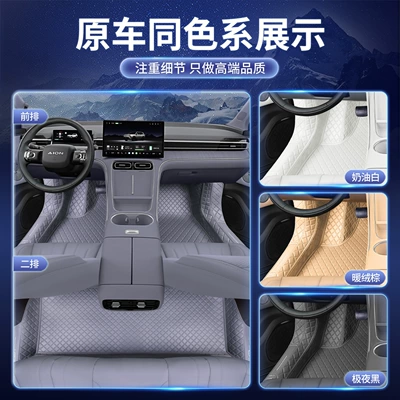 Car Floor Mats, Aion Modelə uyğun ayaqaltı