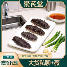 聚芪堂 溯源码鲜食海参批发大连海参真空包装肉质紧实6-8-10-12头