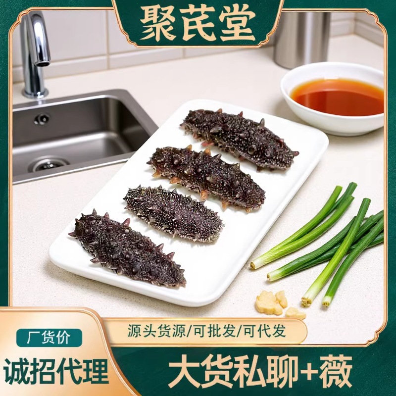 聚芪堂 溯源码鲜食海参批发大连海参真空包装肉质紧实6-8-10-12头
