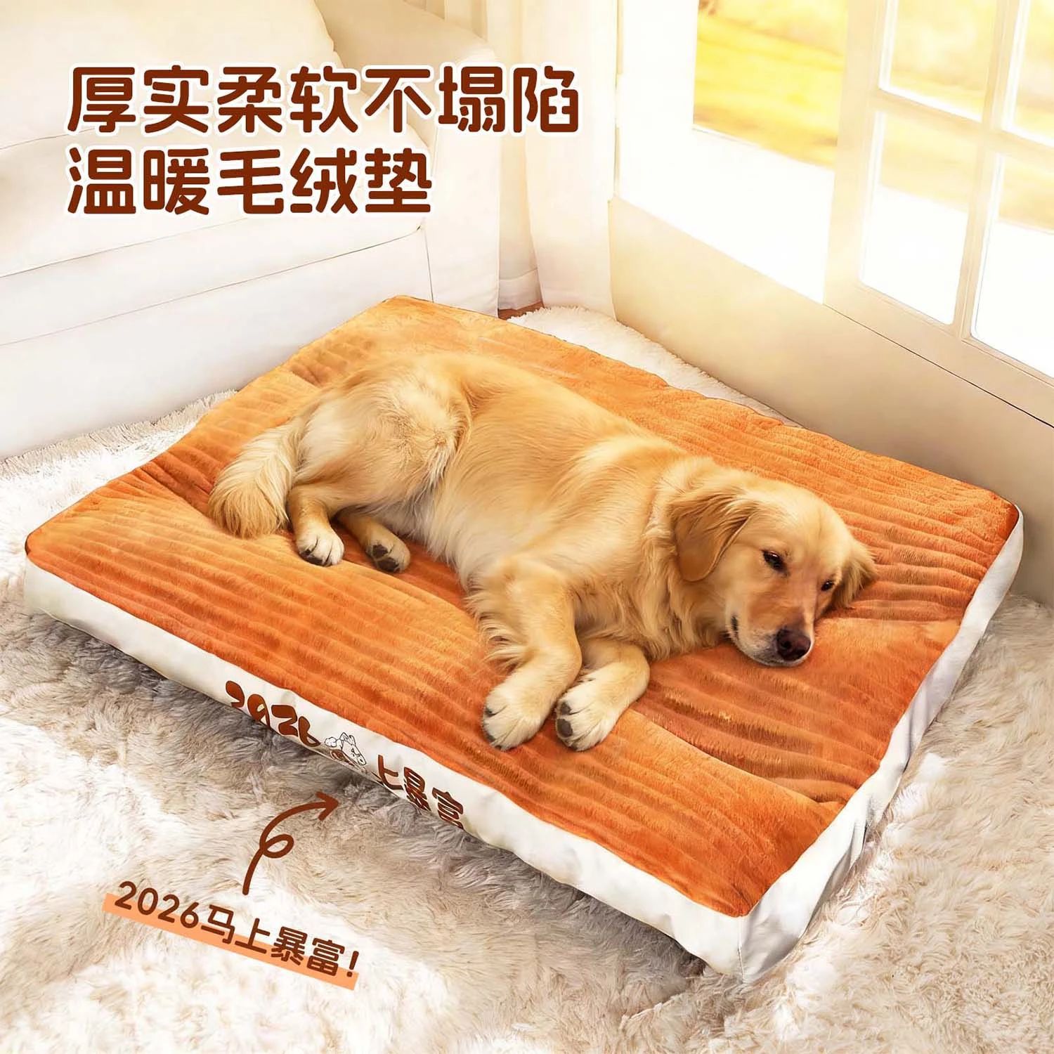 2026년에는 즉시 부자가 될 것입니다