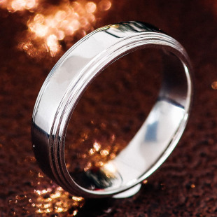 PT950�K����ʿ��Ȧ��ָ֧�ց�D���� �����錚���l��ָ��