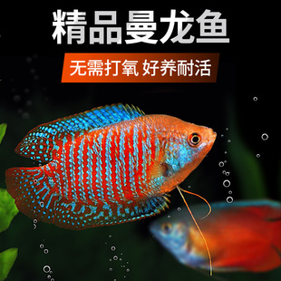 �����~�Ꭷ�^�p�~���~��ˮС���~���R�����~���B�ͻ���������~