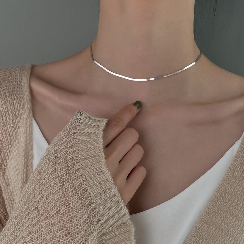 925 Sterling Silver Snake Bone Necklace Women's Summer 2022 New Arrival Trendy Simple ins Cold Style Light Luxury Niche Collarbone Neck Chain