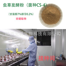 虫草发酵菌粉CS-4蝙蝠娥拟青霉发酵粉甘露醇7%腺苷0.2%虫草粉包邮