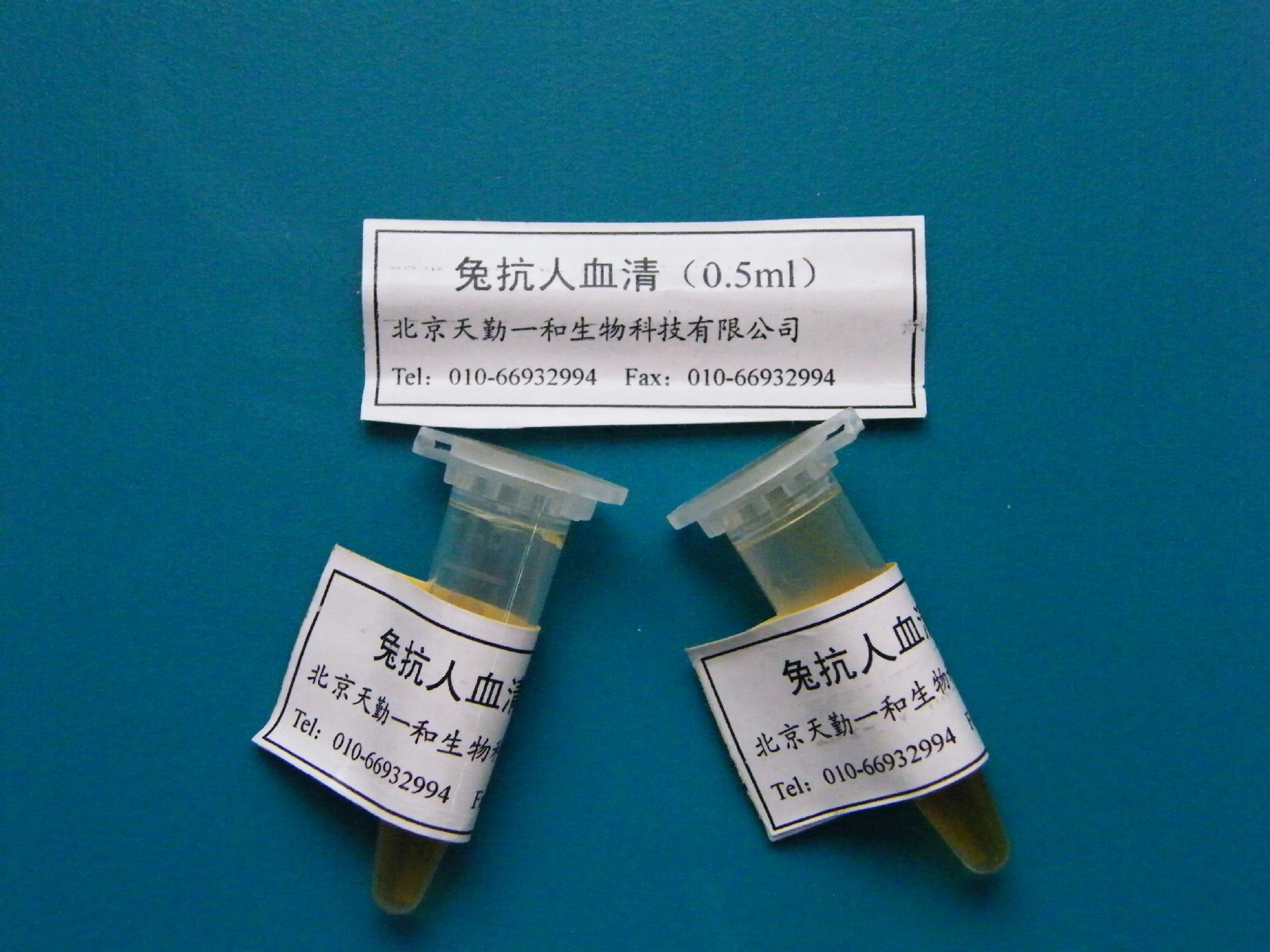 研发、供应兔抗人血清