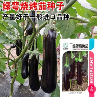 ���ӷN�ӾG��G���L�ѷN�Ѽ޽���������ļ��˸߮a�G�������ѷN��