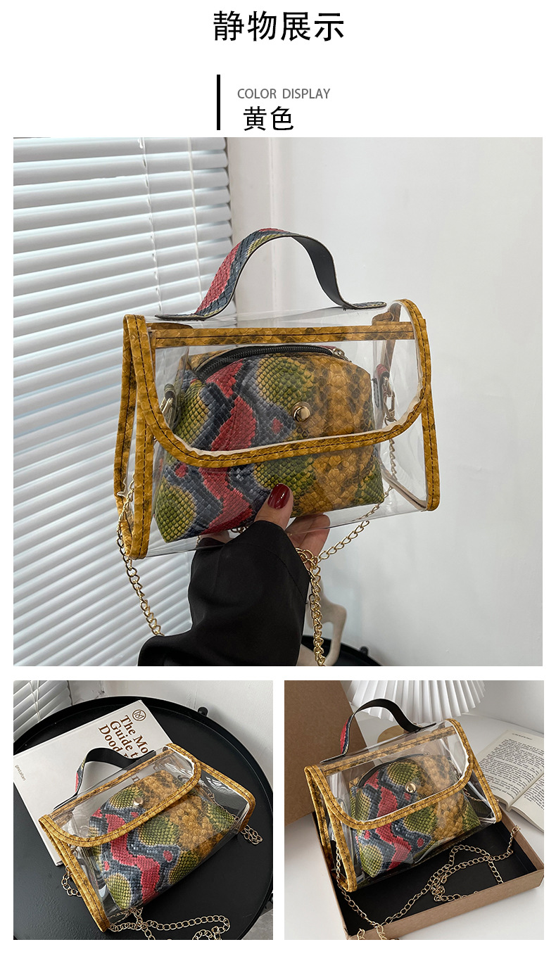 Fashion Style Snake Pattern Transparent Messenger Bag display picture 8