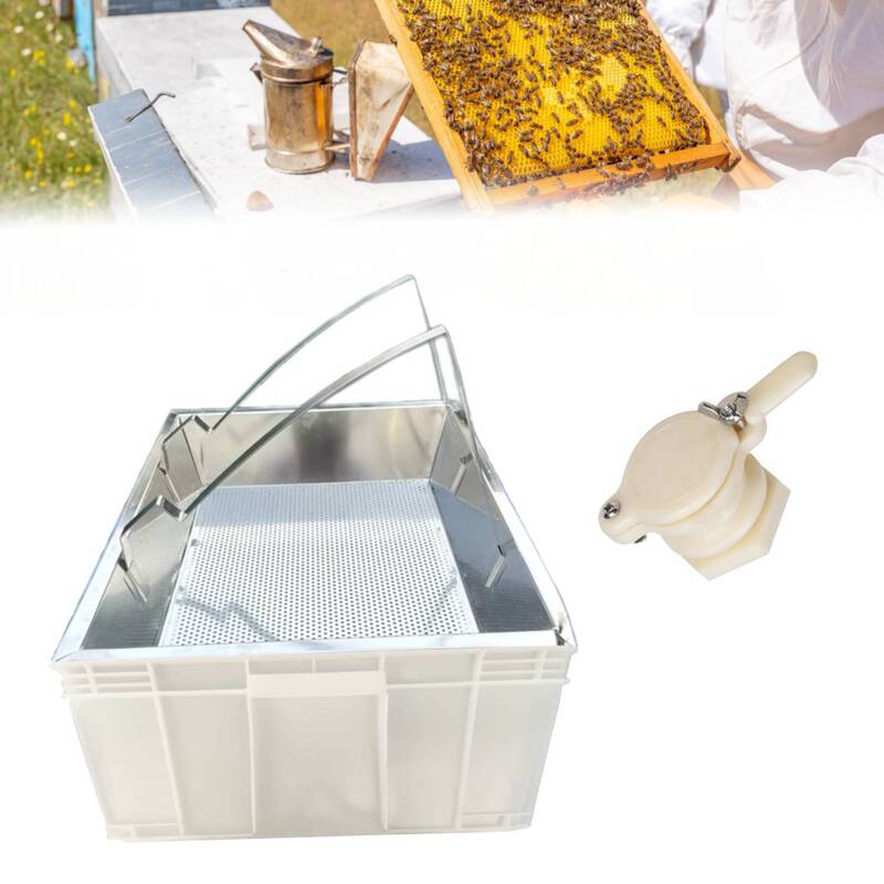 Honey Rack for Beekeeping, Stainless Steel Honey Cutting Tray, Honey Leakage Tray, Honey Tray, Nest Base Tray, 4-Piece Set