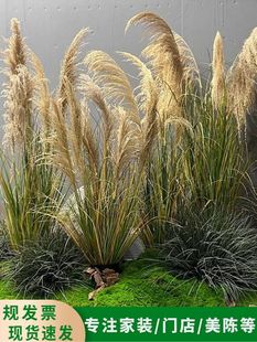 Simulation Internet Celebrated Natural Reed Fake Flower Green Plant Setaria Shopping Mall Plant Landscape Home Bonted Ornaments