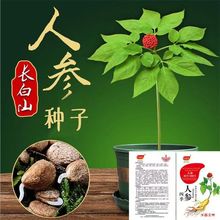 ˅Nһl|LҰɽșĴļ̨