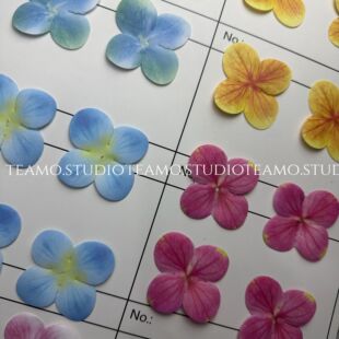 ���滨 3d��ӡ�ָн���Ƭ����diyЬ��ñ������϶���Ь����