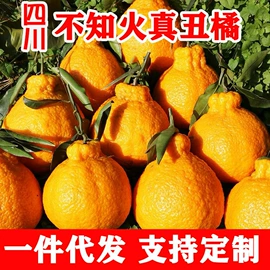 饼干;西式糕点;传统糕点