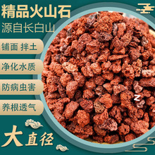 火山石颗粒鱼缸底砂多肉颗粒土免洗盆栽铺面石火山岩营养土通用型