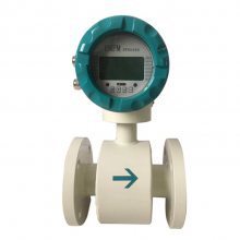 LREF-50 Electromagnetic Flowmeter Shanghai Shangrun Instrument