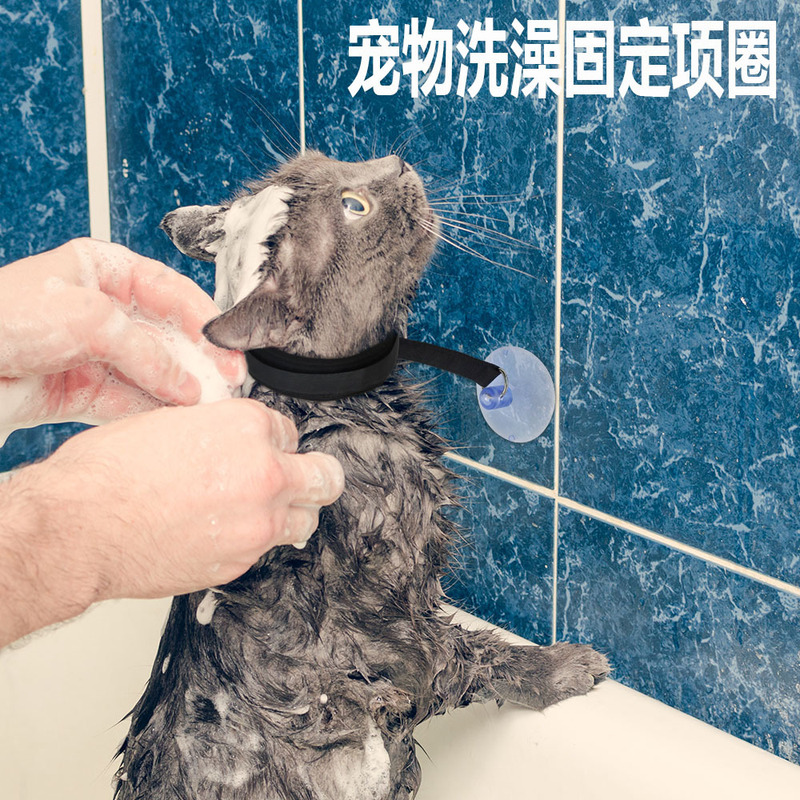 アマゾン猫犬共通美容入浴牽引ペット付き入浴固定首輪神器吸盤固定首輪|undefined
