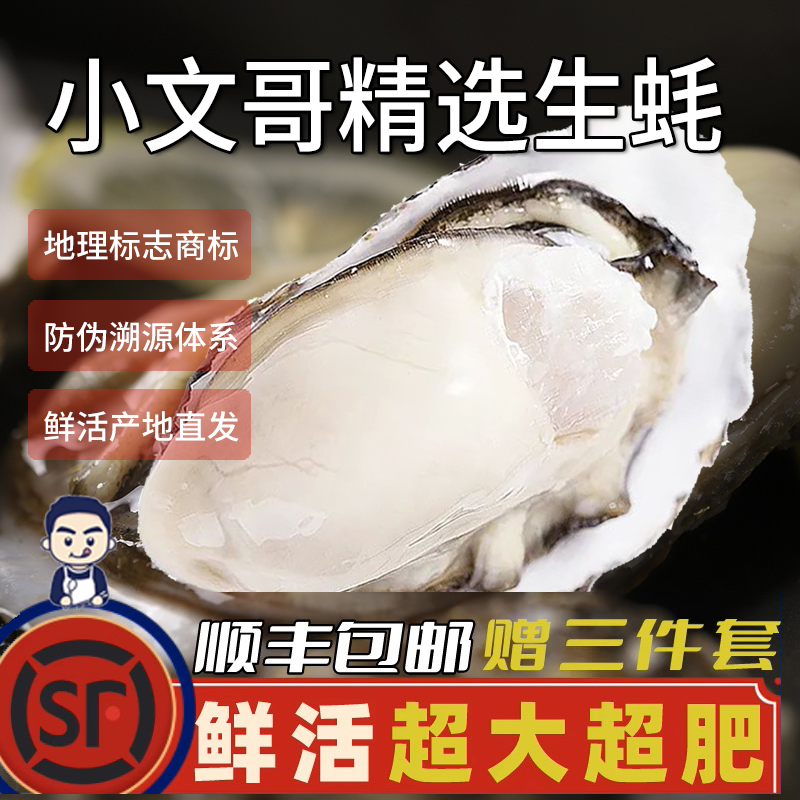 小文哥乳山生蚝贝类海鲜活牡蛎海蛎子烧烤特大肥整箱5斤威海水产