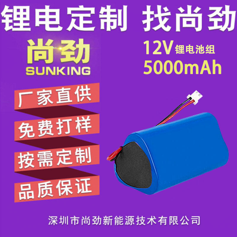 厂家直销 批发供应 12V电池5000mAh 安防产品电池 监控仪电池
