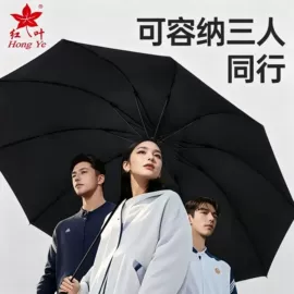 晴雨伞;雨伞;遮阳/太阳伞