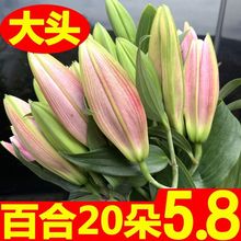 香水百合云南基地直发昆明真花鲜花玫瑰花束批发情人节520同城