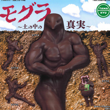 �ձ�����Ť�����l �B��������ճ� BushiroadŤ�� tamakyu ��؜