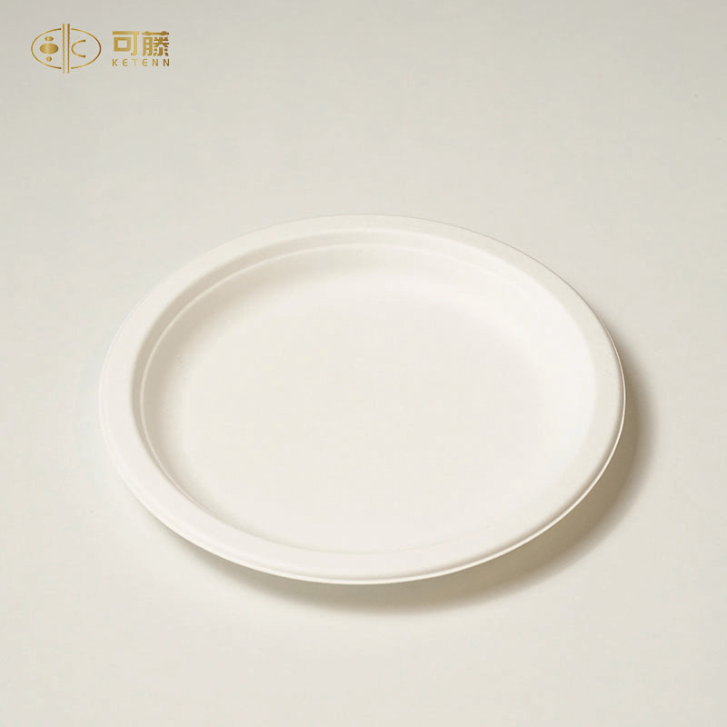 一次性可降解甘蔗浆餐盘 6寸7寸8寸10寸圆盘 食品堂吃外卖包装