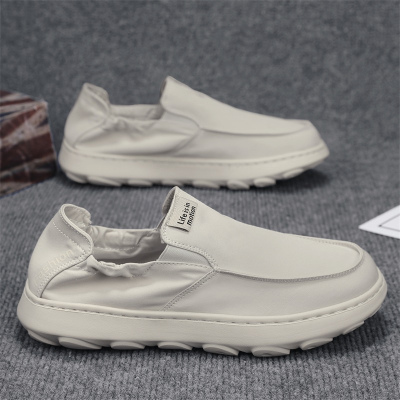 베이지 [메인사진]